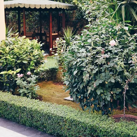 Lejlighed Garden House Tirana