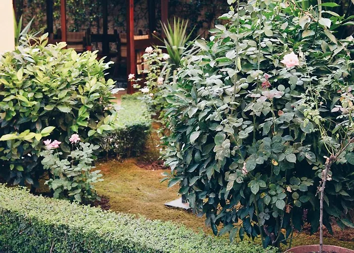 Apartament Garden House Tirana